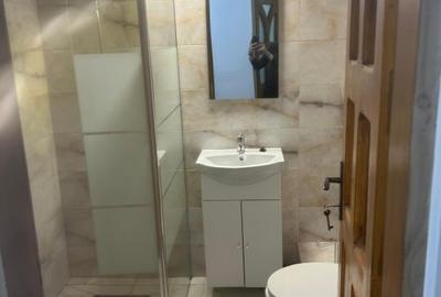 Apartament cu 2 camere decomandat, mobilat în Bălcescu