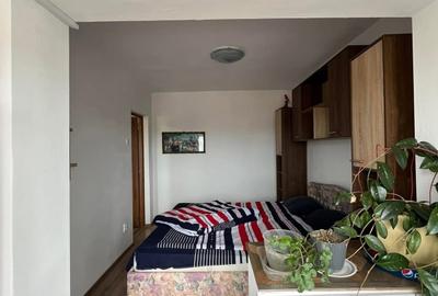 Apartament cu 2 camere semidecomandat în Sânmartin - 4