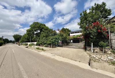 Casă individuală cu 5 camere cu Teren 3344 Mp în Țifești - 1