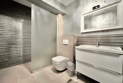 Penthouse cu 4 camere decomandat, mobilat în Noua - 13