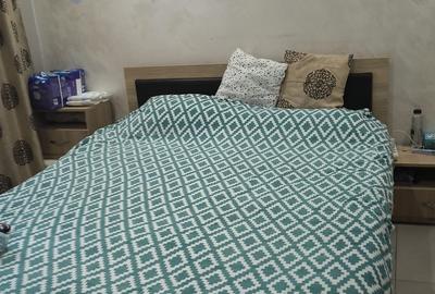 Apartament cu 2 camere decomandat, mobilat în Gării - 2