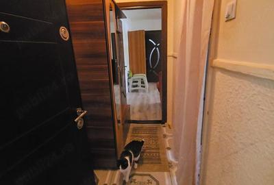 Apartament cu 2 camere semidecomandat în Noua