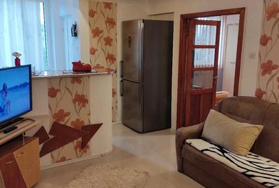 Apartament cu 2 camere semidecomandat în Gojdu - 1