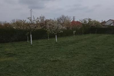 Casă cu 3 camere cu Teren 1084 Mp în Central - 3