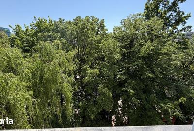 Apartament cu 3 camere decomandat, mobilat în Centrul Civic - 3