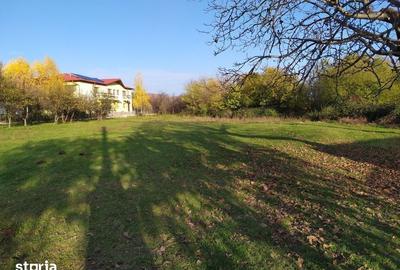 Teren de 1560 mp, în Poiana - 7
