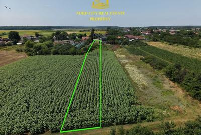 Teren Construcții intravilan de 2700 mp, în Urziceanca - 4