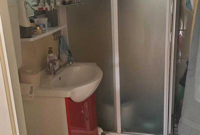 Casă cu 2 camere în Negoiești