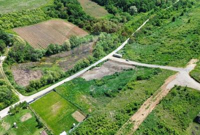Teren Construcții intravilan de 4000 mp, în Vișan - 1