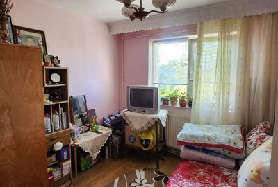 Apartament cu 2 camere semidecomandat în Bistrița Lac - 3