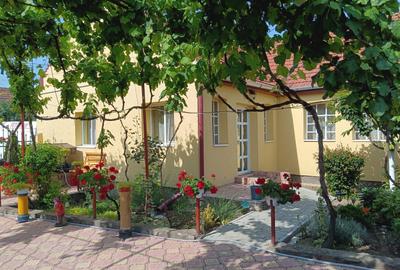 Casă cu 4 camere cu Teren 1500 Mp în Ineu - 10