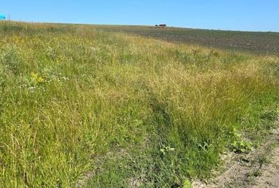 Teren intravilan 2.900mp front la strada 18m zona Chinteni lac - 3