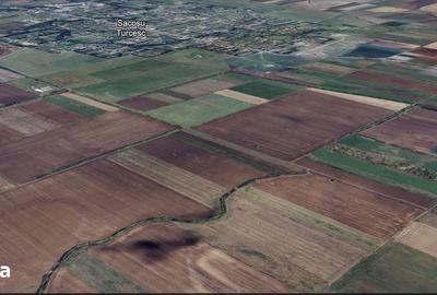 Teren de 8700 mp, în Sacoșu Turcesc - 2