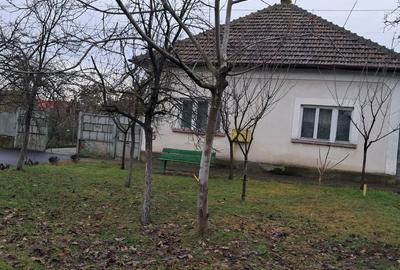 Casă cu 3 camere în Remetea Mare - 1