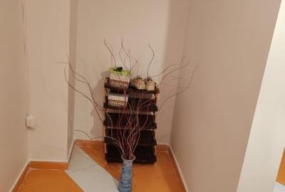 Apartament cu 3 camere decomandat în Central - 7