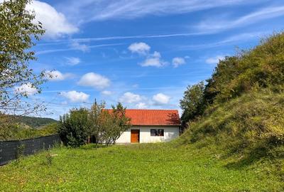 Casa cu teren - 1