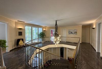 Vila individuala, teren 3000 mp, Iancu Nicolae - 19