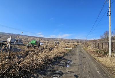 Teren agricol extravilan de 5665 mp, în Iris - 11