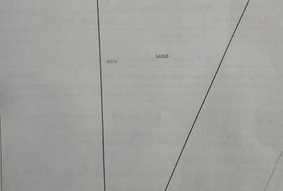 Teren 3000 mp Albești (E60) – Proiect de 3 Case – Toate Avizele și Utilitatile - 3