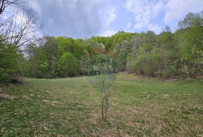 Teren superb, intravilan - la marginea padurii ! - 14