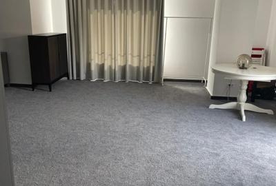 SPATIU DE INCHIRIAT TIMURI NOI-TINERETULUI - 6