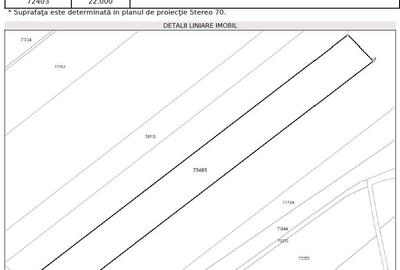 Teren agricol intravilan de 22000 mp, în Petrești - 8