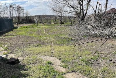 Casă cu 3 camere cu Teren 760 Mp în Ciolpani - 2