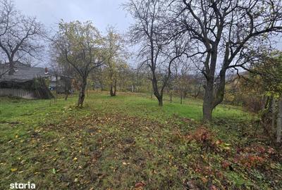 Spațiu comercial, în Tomești