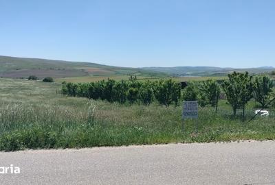 Teren de 960 mp, în Aiton