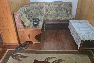 Vand apartament 2 camere in Deva, Piata Centrala, decomandat, mobilat - 13