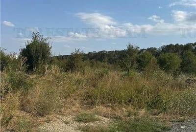 Teren in fata padurii Baneasa - 4