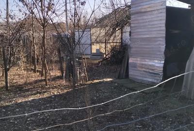 Casa de vanzare Vanju Mare Casa de vanzare Vanju Mare - 5