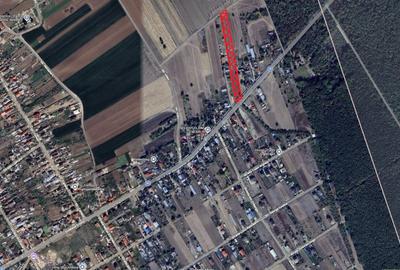 Teren Construcții intravilan de 5000 mp, în Moara Vlăsiei - 1