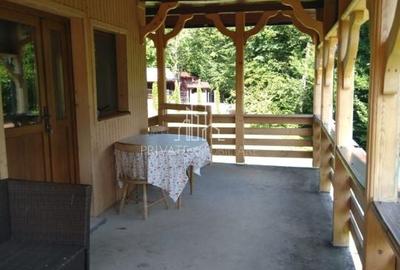 Casa /Cabana De Vanzare, 1000 Mp Teren, Ibanesti - 4