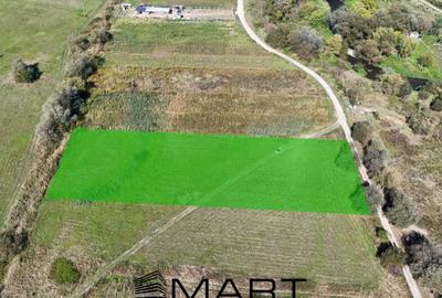 Teren 4200 mp Mohu Selimbar Sibiu - 2