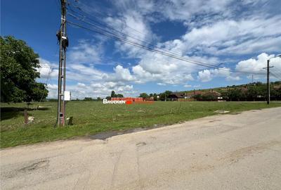 Teren intravilan deosebit de in Marghita - 3