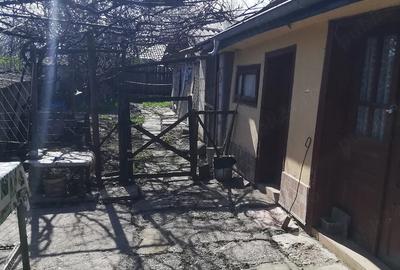 Casă cu 3 camere cu Teren 864 Mp în Siliștea - 1