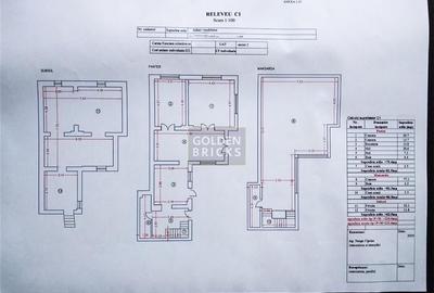 Vila noua cu personalitate interbelica | Pache Protopopescu Vila noua cu personalitate interbelica | Pache Protopopescu - 17