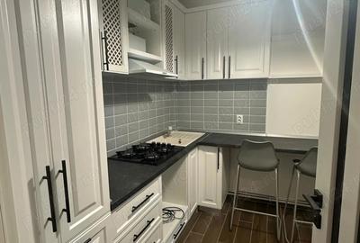 Inchiriere casa cocheta, proaspat renovata, central, prima inchiriere - 4