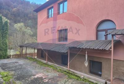 Casă individuală cu 7 camere cu Canalizare în Bistra - 7