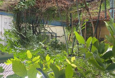 Casă cu 3 camere cu Teren 1152 Mp în Bivolari - 3