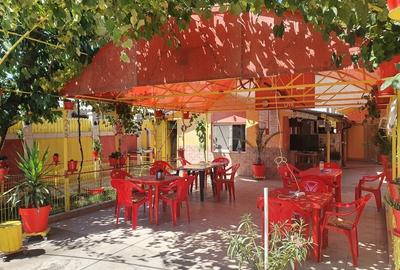 Vila de vanzare Mangalia locuit sau afacere - 2