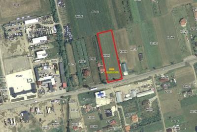 Teren de 4000 mp, în Oituz - 2