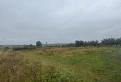 Teren de 10000 mp, în Moara - 6