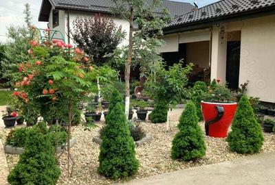 Particular vand casa Buftea - 3