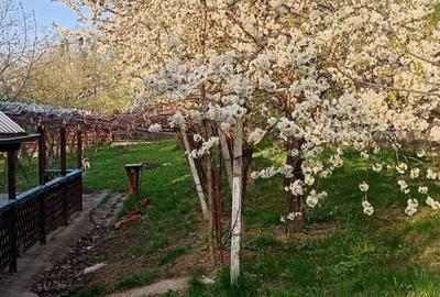 Casă cu 3 camere în Dancu - 2