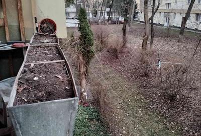 Apartament cu 3 camere decomandat în Central - 4