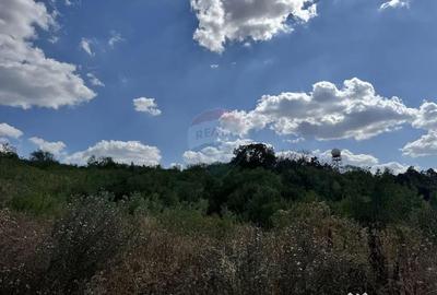 Teren de 6372 mp, în Paleu