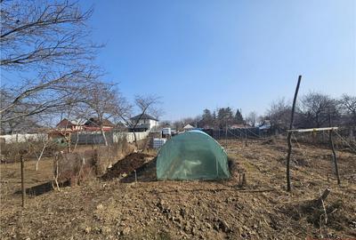 Teren intravilan 2000 mp, Calea Romanului - 1