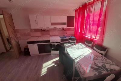 Casă cu 2 camere cu Teren 1400 Mp în Criș - 4